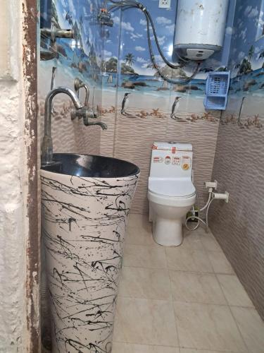 a bathroom with a sink and a toilet at Vrindavan Homestay in Vrindāvan