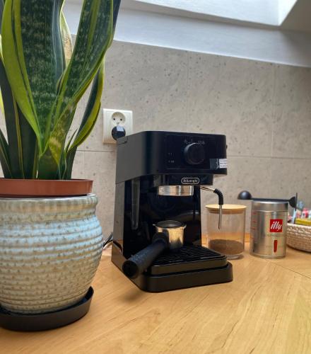 a coffee maker sitting on a counter next to a plant at Apartamenty Plac Moniuszki 11 City Center in Kielce