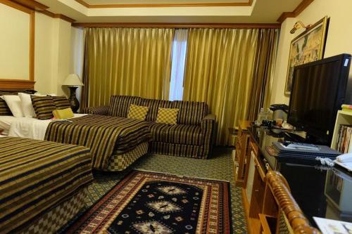 TV a/nebo společenská místnost v ubytování Taksila Hotel