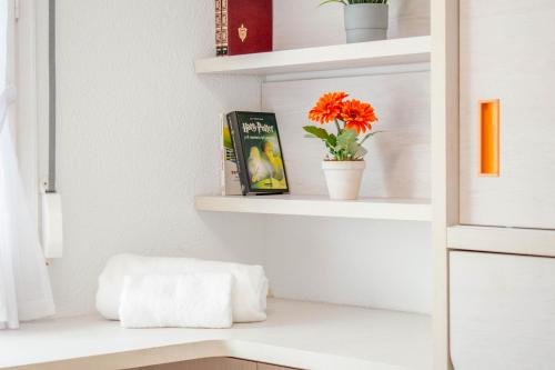 a room with white shelves with flowers on them at Gran casa de campo ideal para familias en Navarra in Larrasoaña