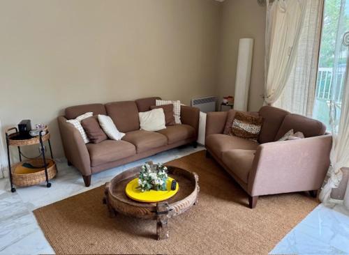 The Noailles - Lovely flat with swimming pool five minutes from the beach