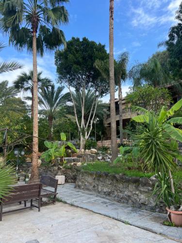 a park with two benches and palm trees at Sossita Guesthouse & Boutique Resort 