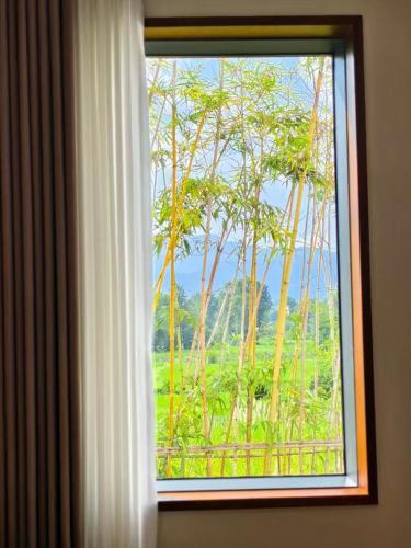 a window with a view of a forest of trees at Floral Shemanyue Mountain Homestay in Huangshan