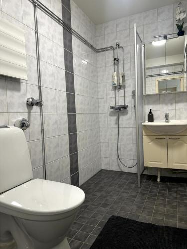 a bathroom with a toilet and a sink at Kaksio hyvällä sijainnilla in Kemijärvi
