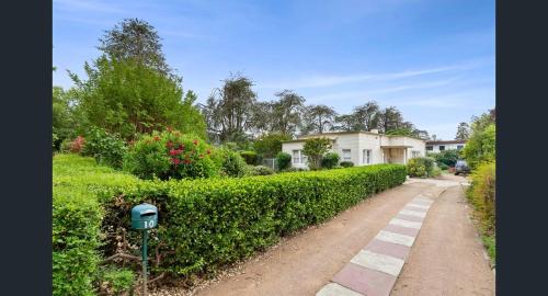 a house with a hedge next to a driveway at Charming Cottage Walk to City and Eat Street in Braddon