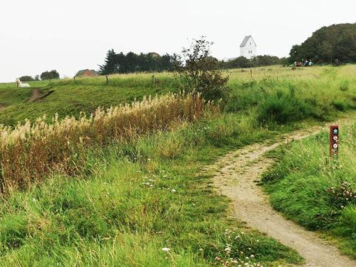 a dirt road in the middle of a field at 6 person holiday home in Tarm-By Traum in Tarm