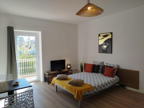 TV a/nebo společenská místnost v ubytování Appart T2 wifi Tv Balcon Jardin Parking