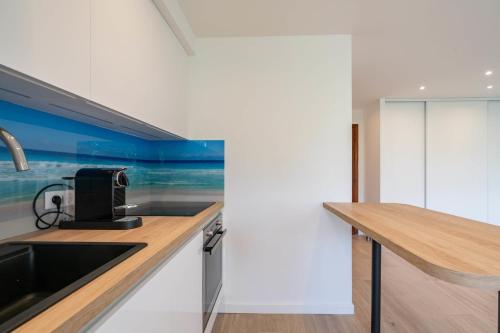Beautiful studio with balcony in Cannes