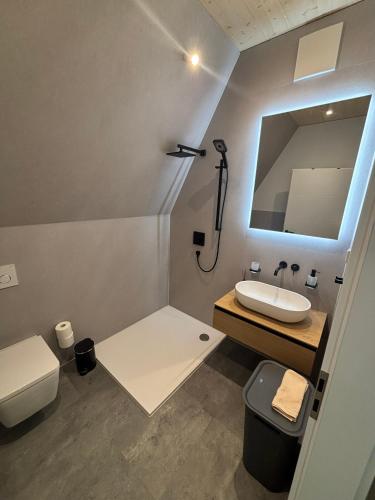 a bathroom with a sink and a toilet and a mirror at Chalet NATURTRAUM in Runkel