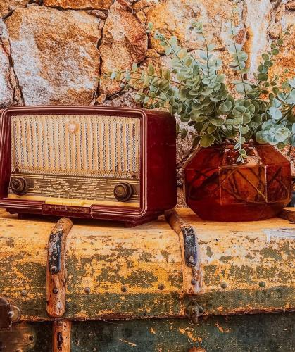 an old radio and a vase with a plant at Hôtel Restaurant La Caravelle in Sari Solenzara