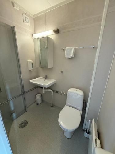 a small bathroom with a toilet and a sink at Sandmoen Bed & Breakfast, Free Parking in Trondheim