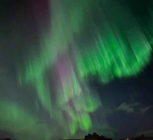 an image of the northern lights in the sky at Lofot rommet in Svolvær