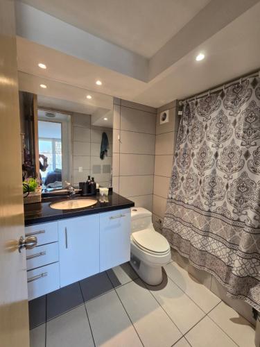 a bathroom with a toilet and a sink at Providencia Encantador y elegante departamento in Santiago