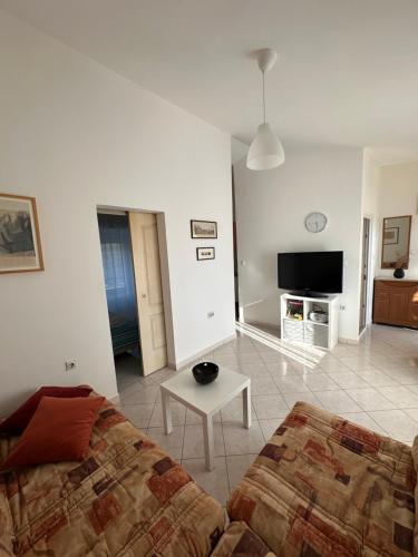 a living room with a bed and a tv at Stari Bar Apartments in Stari Bar