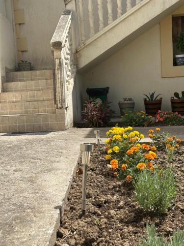 a garden with flowers in front of a building at Stari Bar Apartments in Stari Bar