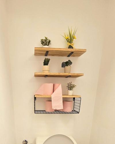 une étagère au-dessus des toilettes avec des plantes dessus dans l'établissement Chez Maria, à Lourdes