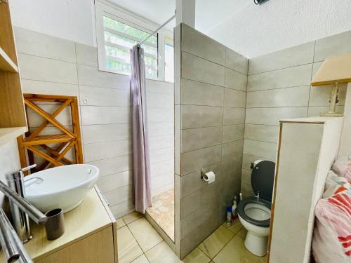 a small bathroom with a toilet and a sink at Saline les bains studio avec cuisine & espace détente extérieurs calme & plage à pied in Saint-Paul