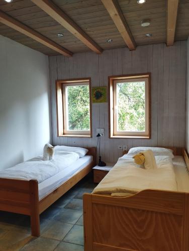 two beds in a room with two windows at Ferienwohnung auf dem Land in Molzbach in Hünfeld