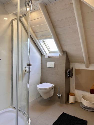 a bathroom with a toilet and a shower at B&B Woudzicht in Oudeschoot