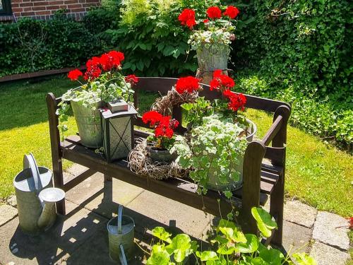 a bench with red flowers and plants on it at Ferienwohnungen direkt am See in Ventschow