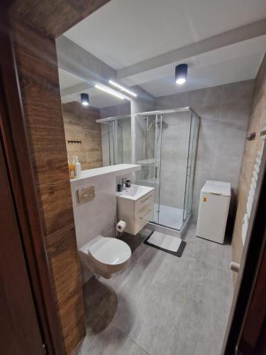a bathroom with a toilet and a shower at Kozubnik Apartment in Porąbka