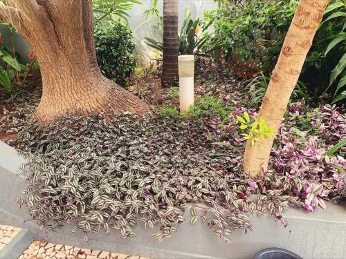 Jardin de l'établissement VILLA Valhalla Private heated swimming-pool