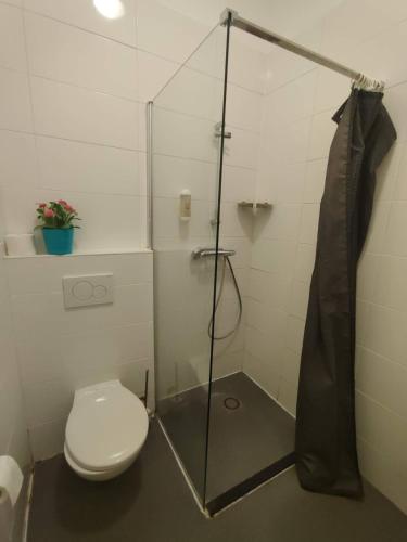 a bathroom with a toilet and a glass shower at New City Hotel Scheveningen in Scheveningen