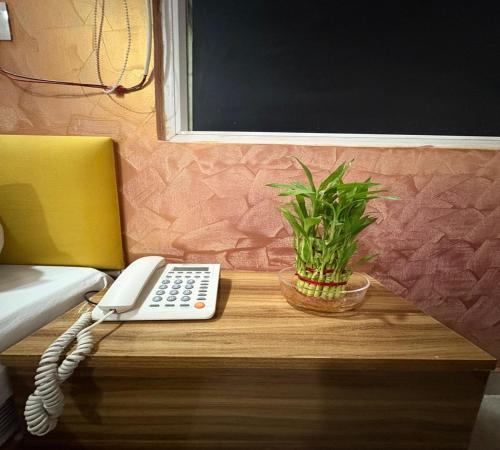 a desk with a phone and a potted plant on it at Radiant Blu Hotel in Noida