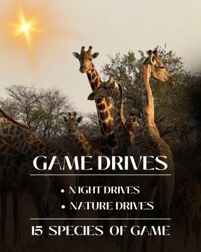 Gallery image of Big Cats Namibia Farmstay & Tours in Outjo