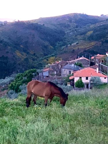 Άλλα ζώα σε αυτή η παραθεριστική κατοικία ή στη γύρω περιοχή