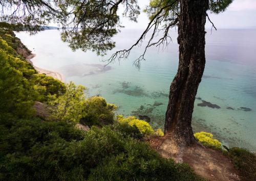 Φυσικό τοπίο κοντά σε αυτή η βίλα