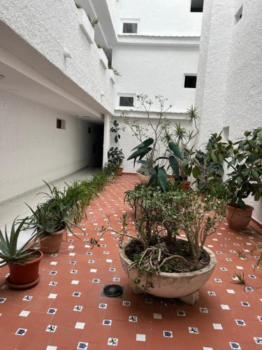 Gambar di galeri bagi Luxury Studio in the Heart of Moraira di Moraira