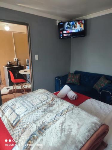 a bedroom with a bed and a tv on the wall at Di-Koena cottage in Springs