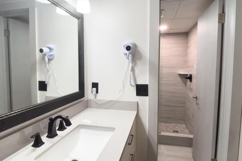 a bathroom with a sink and a mirror at Tennessee Mountain Lodge Riverside by OYO in Pigeon Forge