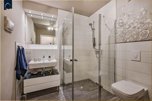een badkamer met een douche, een toilet en een wastafel bij Terrasse am Haff in Zirchow