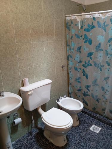 a bathroom with a toilet and a sink and a shower at La Rafaela in Zonda