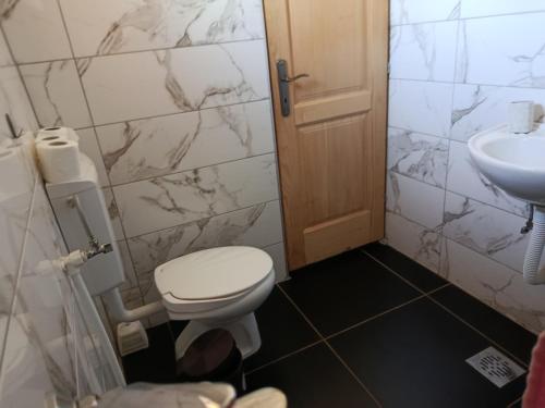 a bathroom with a toilet and a sink at Katun Mountain home in Žabljak