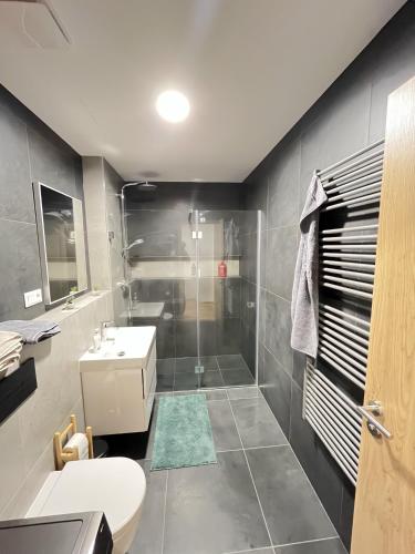 a bathroom with a shower and a toilet and a sink at Island Safehouse in Olomouc