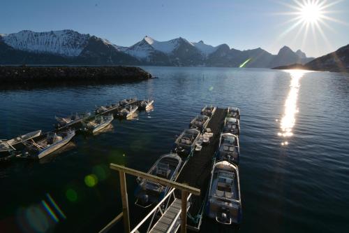 a group of boats docked at a dock in the water at Mefjord Brygge in Mefjordvær
