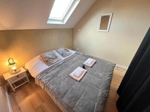 Danton confortable chaleureux proche centre-ville