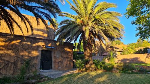 a palm tree in front of a building at Bedrock Backpackers in Harrismith
