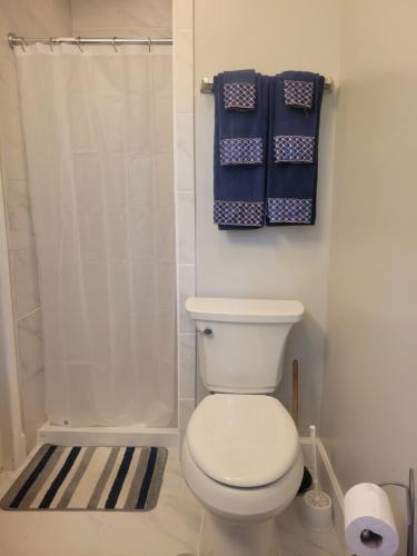 a bathroom with a white toilet and blue towels at Central located large home on quiet wooded street in Lumberton