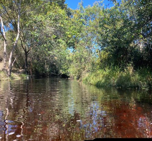a river with trees on the side of it at Sítio Estrela da Manhã Hospedagem e Lazer in Palmeiras