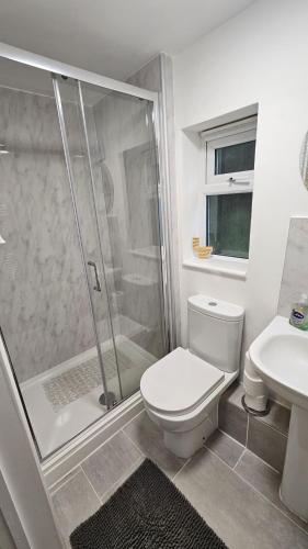 a bathroom with a shower and a toilet and a sink at Pepperpot in Portreath