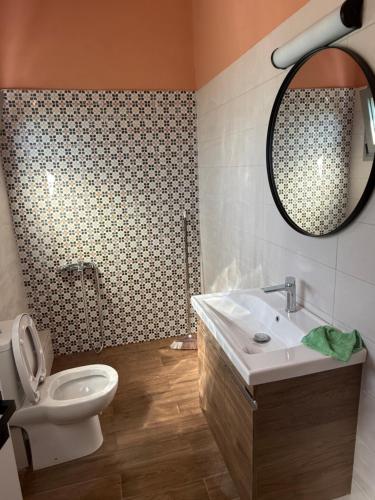 a bathroom with a toilet and a sink and a mirror at Grandpa's House in Pídhima