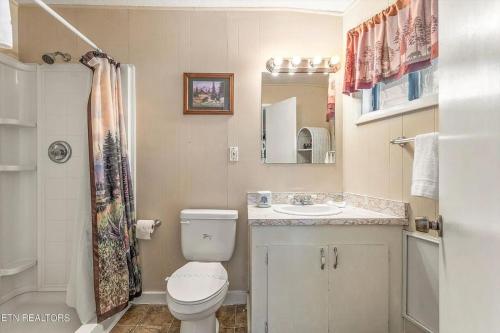 a small bathroom with a toilet and a sink at Hideaway Chalet - Hot Tub in the Treetops, Arcade Games, + Close to Ober Mountain! in Chalet Village