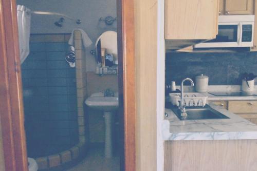 a small kitchen with a sink and a sink at Hampton Motel in Hampton