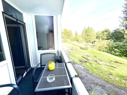 a table on a porch with a view of a field at Moderne und komfortable Appartements im Ferienpark Hahnenklee in Hahnenklee-Bockswiese