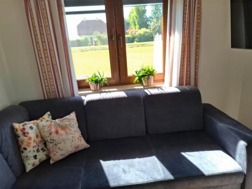 a blue couch sitting in front of a window at Domek wśród Jabłonek in Łoniów