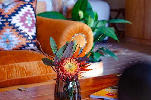 Gambar di galeri bagi Ikhaya Safari Lodge di Cape Town